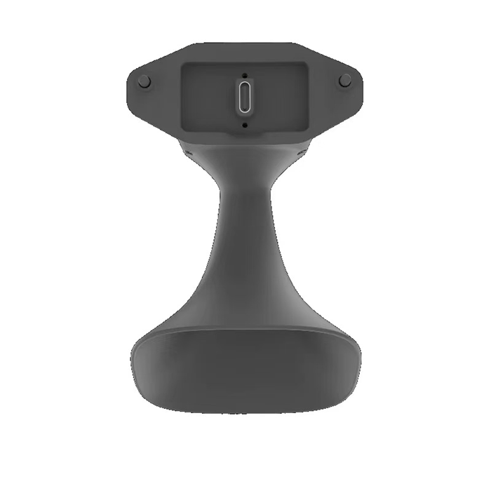 美女的隐藏部位是什么图片