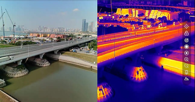 美女的隐藏部位是什么图片