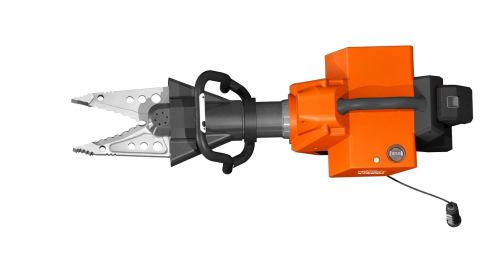 美女的隐藏部位是什么图片