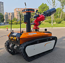 美女的隐藏部位是什么图片