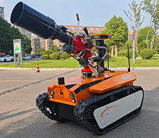 美女的隐藏部位是什么图片