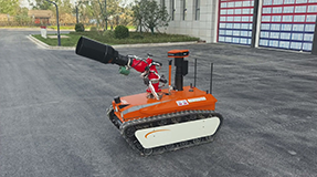 美女的隐藏部位是什么图片