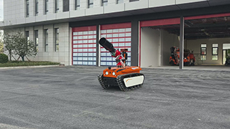 美女的隐藏部位是什么图片