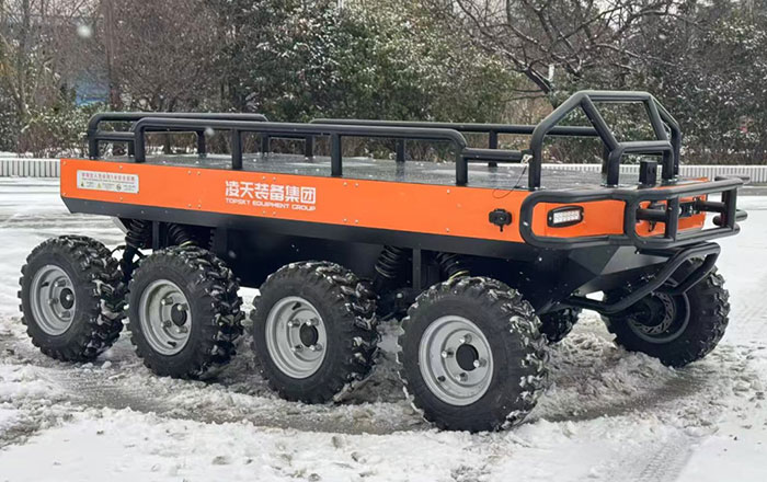 美女的隐藏部位是什么图片