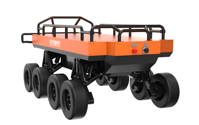 美女的隐藏部位是什么图片