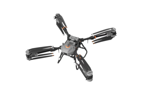 美女的隐藏部位是什么图片