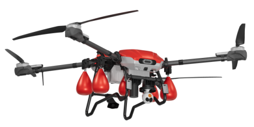 美女的隐藏部位是什么图片