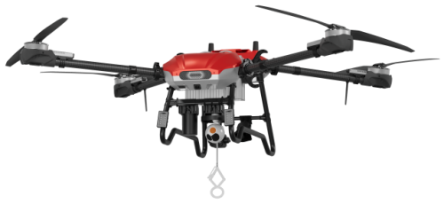 美女的隐藏部位是什么图片