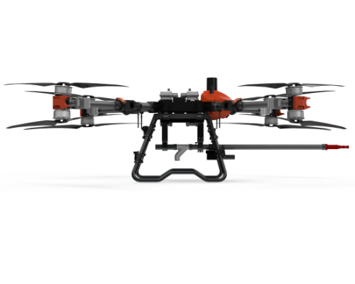 美女的隐藏部位是什么图片