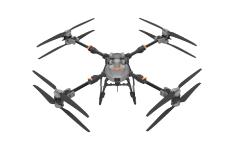 美女的隐藏部位是什么图片