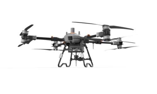 美女的隐藏部位是什么图片