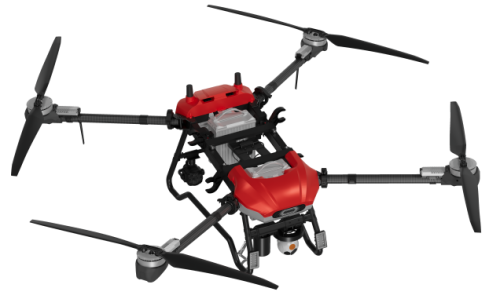 美女的隐藏部位是什么图片