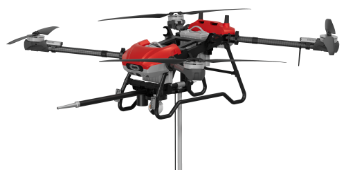 美女的隐藏部位是什么图片