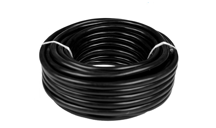 美女的隐藏部位是什么图片