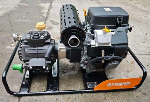 美女的隐藏部位是什么图片