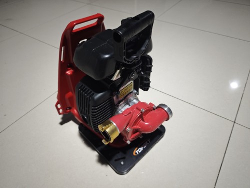 美女的隐藏部位是什么图片