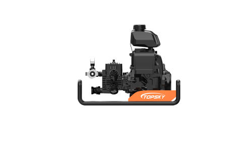 美女的隐藏部位是什么图片