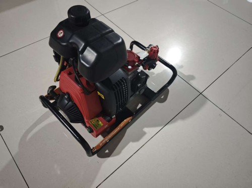 美女的隐藏部位是什么图片