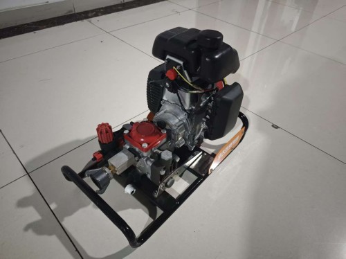 美女的隐藏部位是什么图片