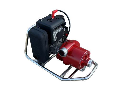 美女的隐藏部位是什么图片