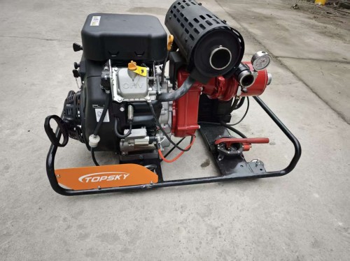 美女的隐藏部位是什么图片