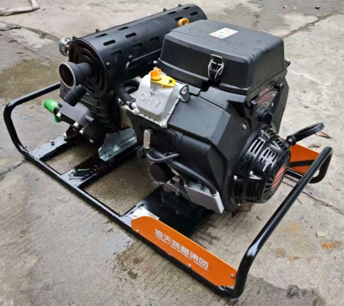 美女的隐藏部位是什么图片