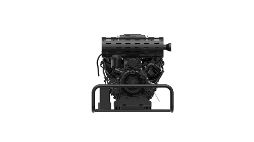 美女的隐藏部位是什么图片