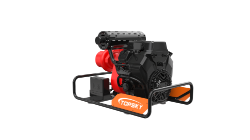 美女的隐藏部位是什么图片