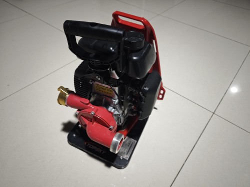 美女的隐藏部位是什么图片