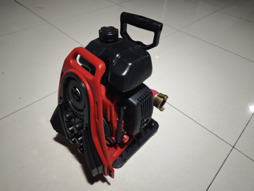 美女的隐藏部位是什么图片