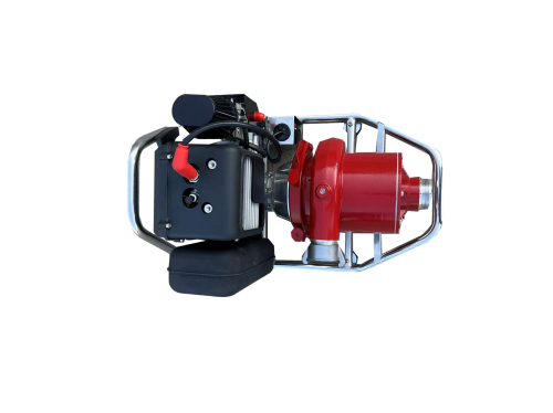 美女的隐藏部位是什么图片