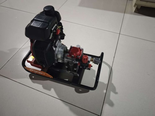 美女的隐藏部位是什么图片