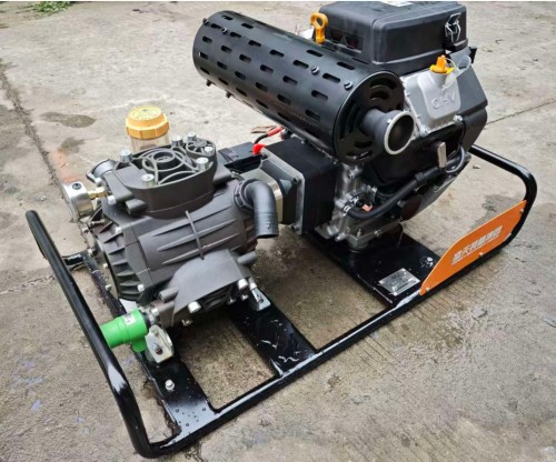 美女的隐藏部位是什么图片