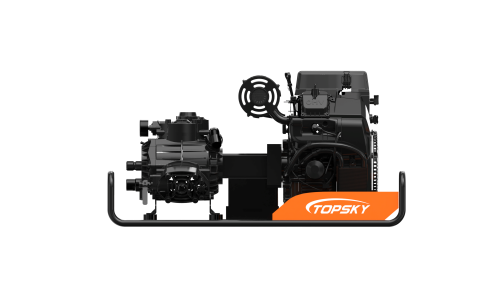 美女的隐藏部位是什么图片