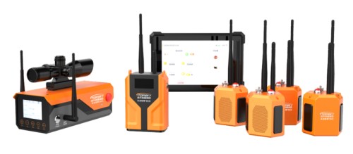 美女的隐藏部位是什么图片