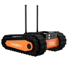 美女的隐藏部位是什么图片