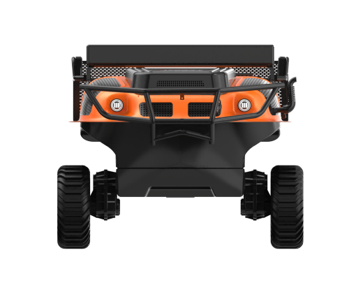 美女的隐藏部位是什么图片