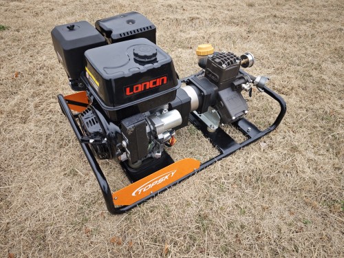 美女的隐藏部位是什么图片