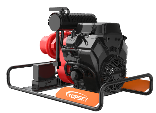 美女的隐藏部位是什么图片