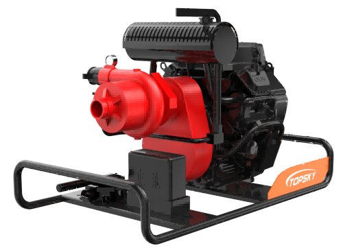 美女的隐藏部位是什么图片