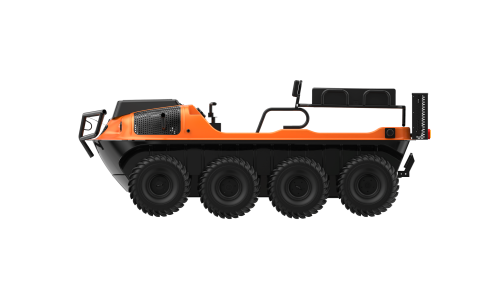 美女的隐藏部位是什么图片