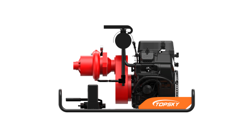 美女的隐藏部位是什么图片