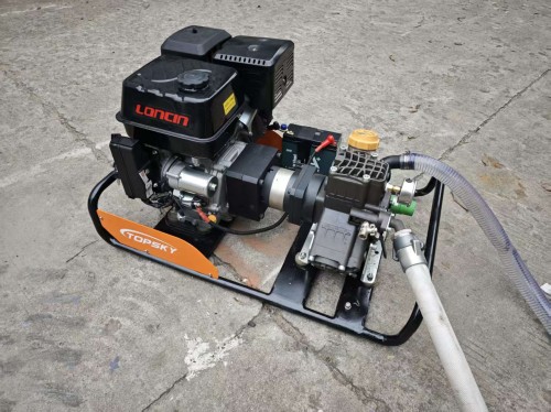 美女的隐藏部位是什么图片