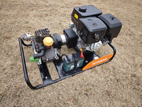 美女的隐藏部位是什么图片