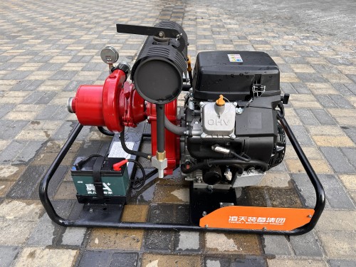 美女的隐藏部位是什么图片