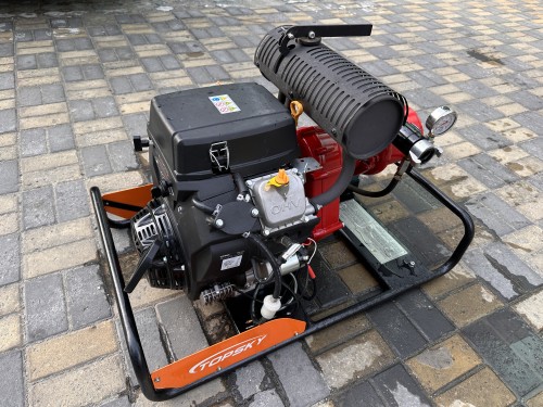 美女的隐藏部位是什么图片