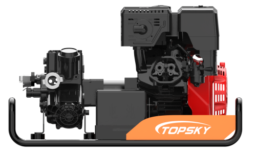 美女的隐藏部位是什么图片