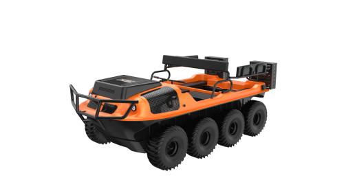 美女的隐藏部位是什么图片