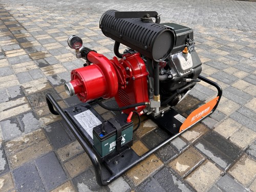 美女的隐藏部位是什么图片