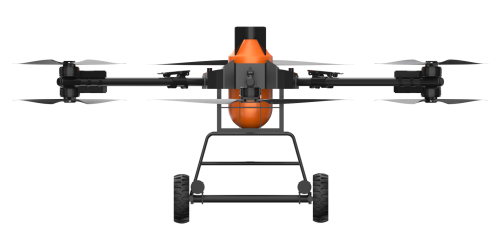 美女的隐藏部位是什么图片